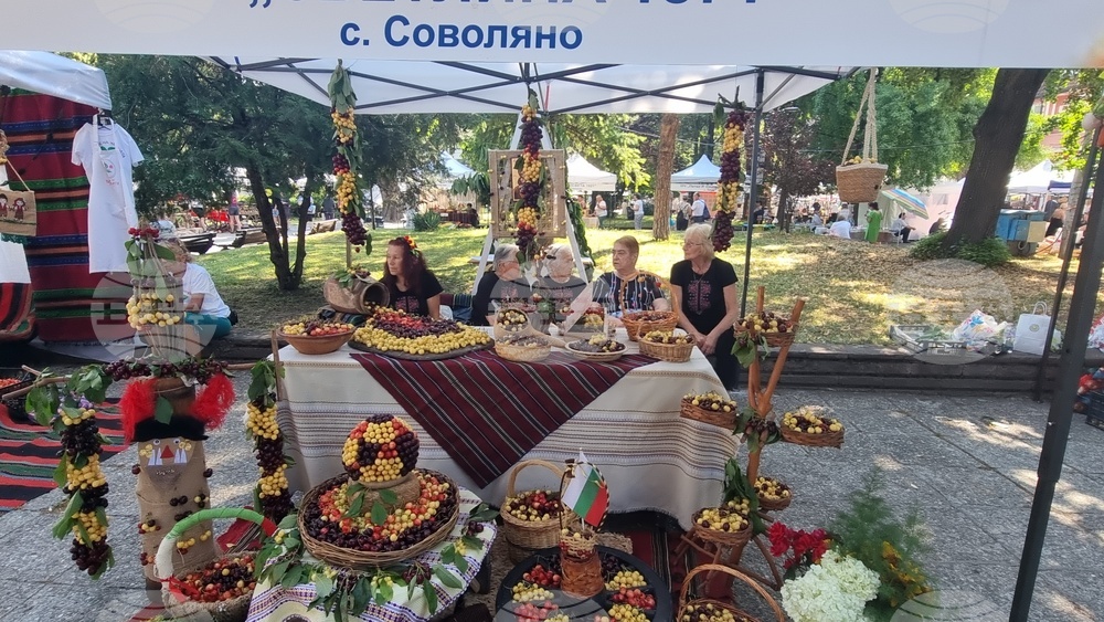 Кюстендил - Празник на черешата