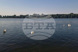 Белене - фестивал на река Дунав - инициатива