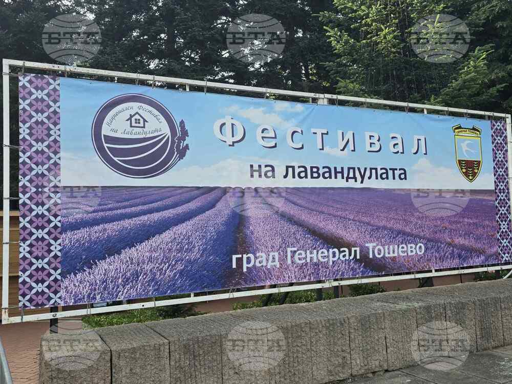 Генерал Тошево - Национален фестивал на лавандулата