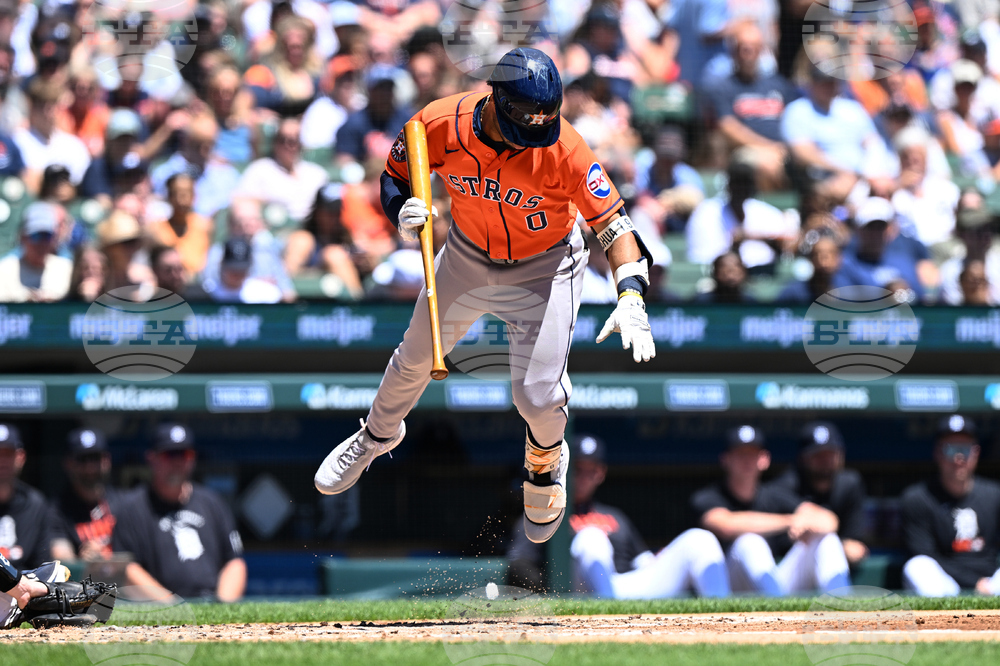 Astros Tigers Baseball