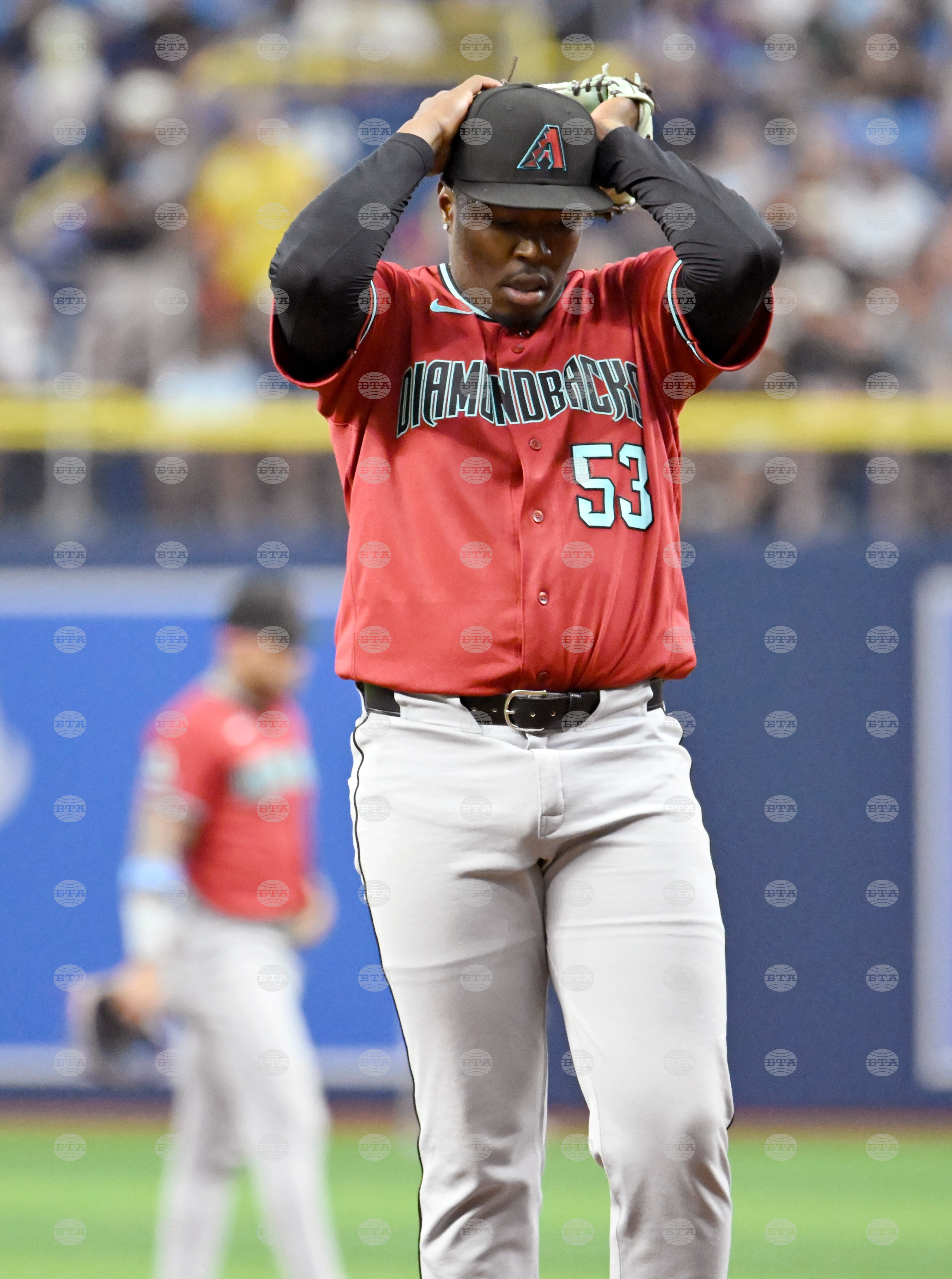Diamondbacks Rays Baseball