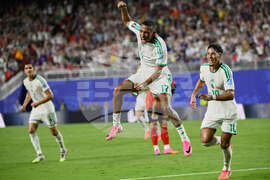 Austria Algeria WCup Soccer