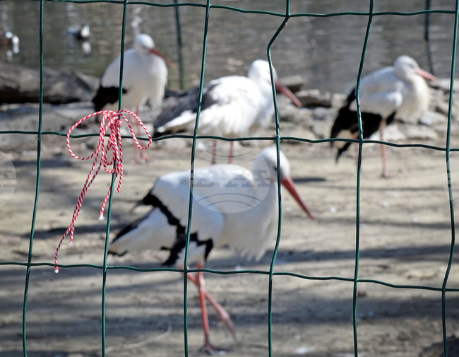Варна - зоопарк