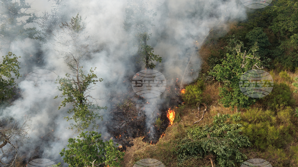 Germany Wildfires