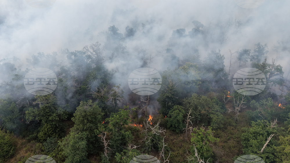Germany Wildfires
