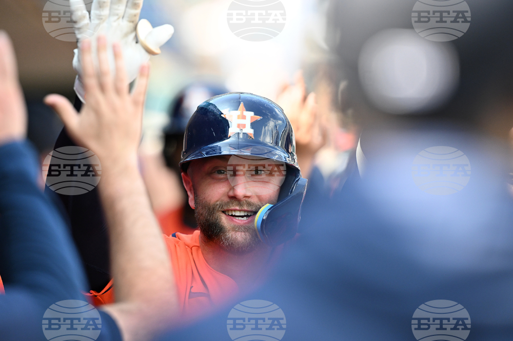 Astros Tigers Baseball
