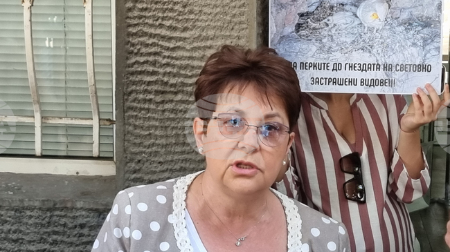 Wind Farm Project Near Endangered Vulture Nests in Krumovitsa Paused Pending Additional Opinions