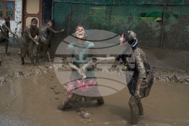 Nepal Paddy Day