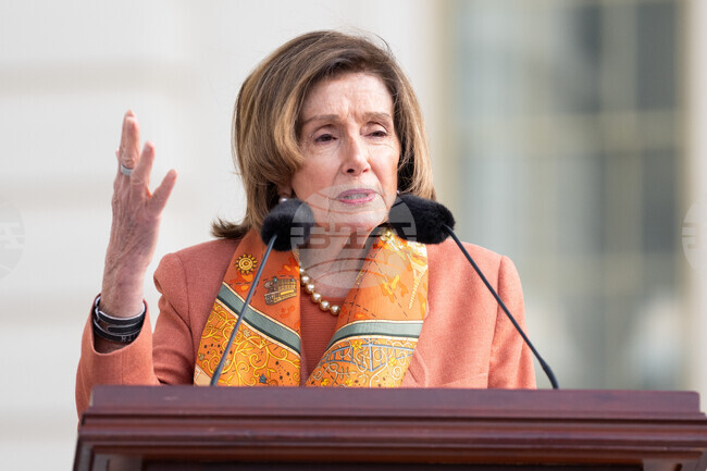 Pelosi Democracy Institute