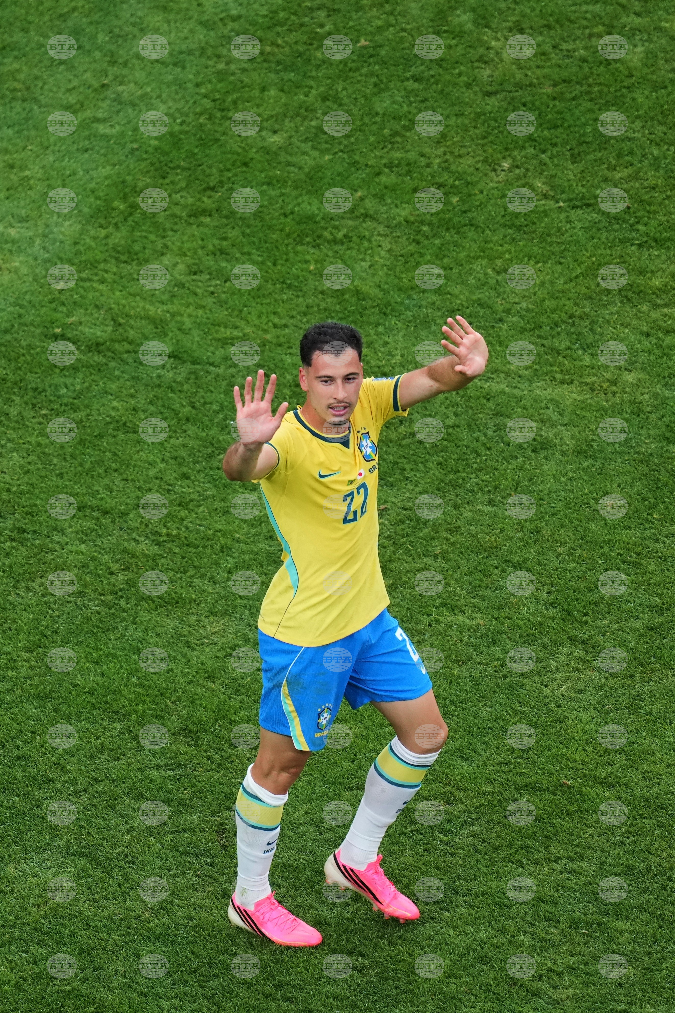 Japan Brazil WCup Soccer