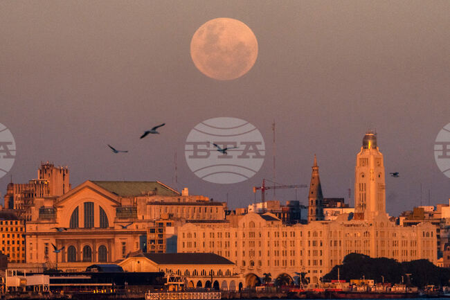 Uruguay Moon