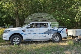 Село Гомотарци - река Дунав - руска есетра - зарибяване - проект