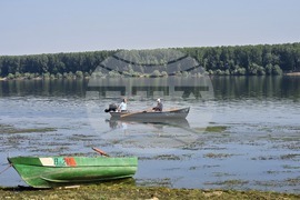 Село Гомотарци - река Дунав - руска есетра - зарибяване - проект