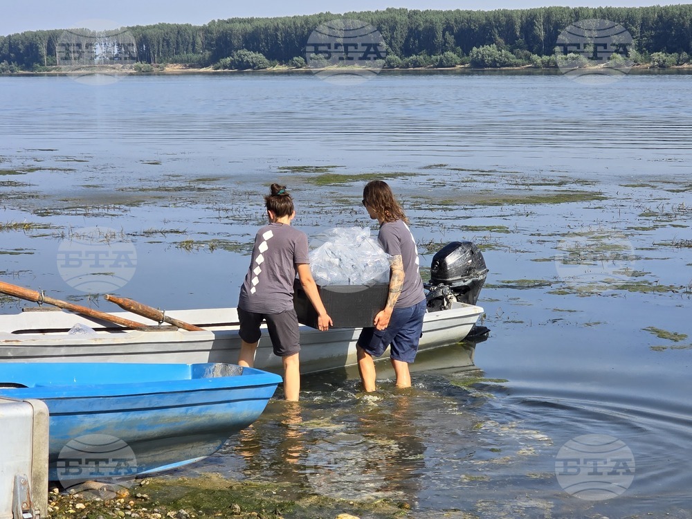 Село Гомотарци - река Дунав - руска есетра - зарибяване - проект