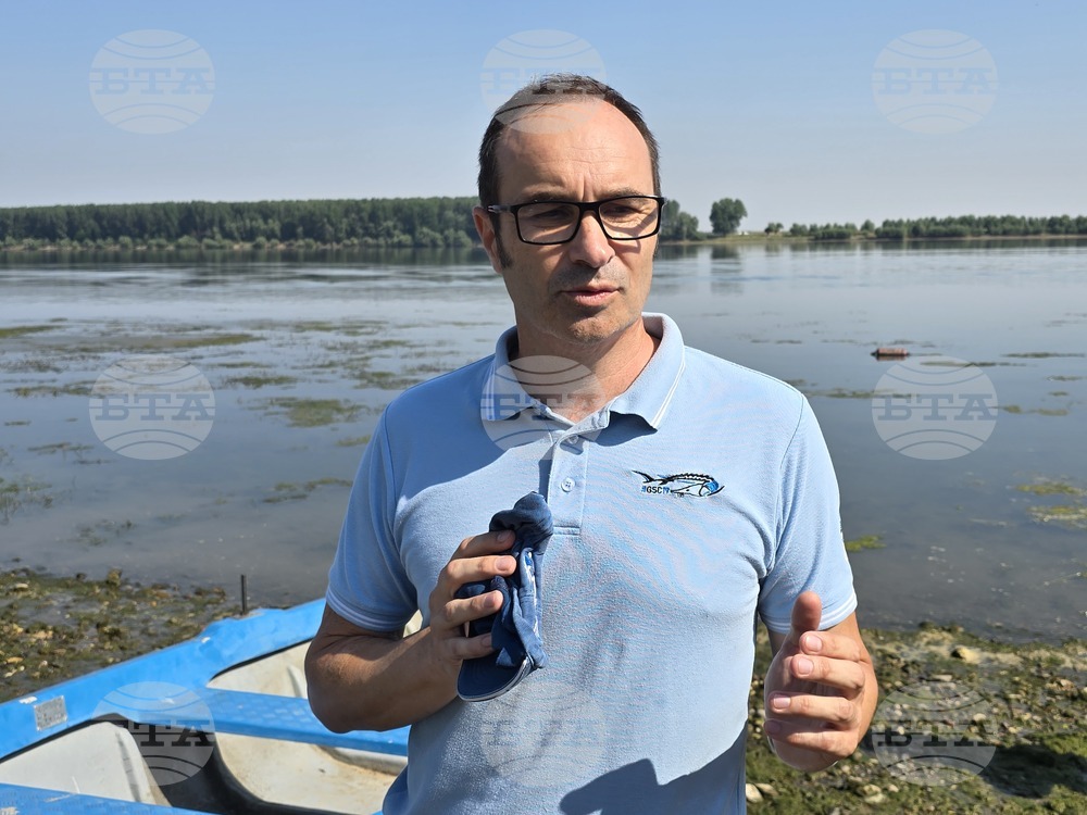 Село Гомотарци - река Дунав - руска есетра - зарибяване - проект