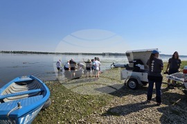 Село Гомотарци - река Дунав - руска есетра - зарибяване - проект
