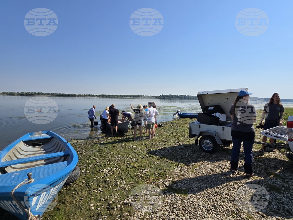 Село Гомотарци - река Дунав - руска есетра - зарибяване - проект