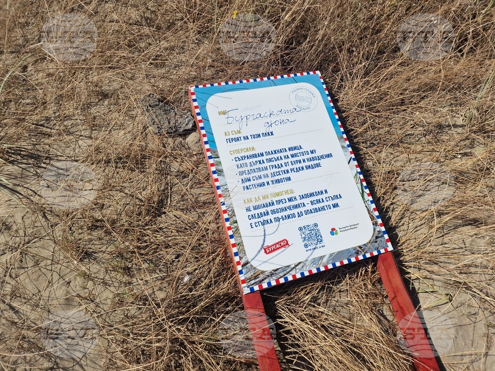 Бургас - доброволческа акция - Бургаската дюна