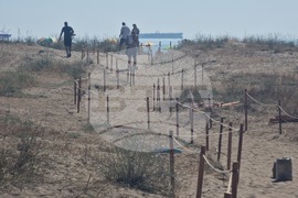 Бургас - доброволческа акция - Бургаската дюна