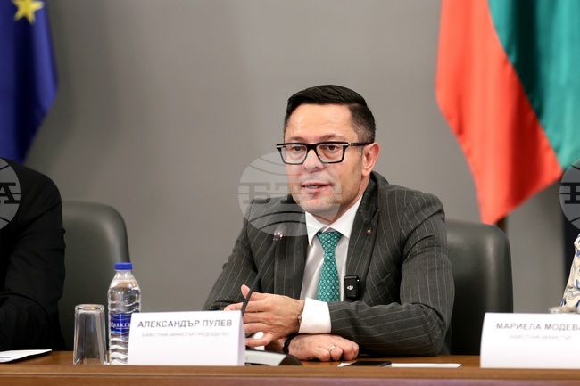 Правителството не се е отказало от ограничаването на високите възнаграждения в бордовете на директорите на публичните предприятия, каза вицепремиерът Пулев