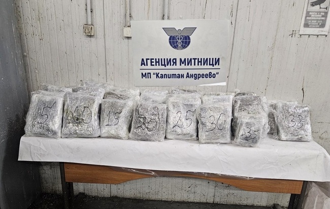 Немска гражданка от турски произход е обвинена и задържана за контрабанда на над 47 кг марихуана през "Капитан Андреево"