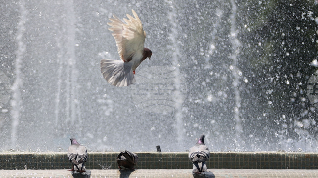 Hot Weather Warning Issued for Five Regions on Monday