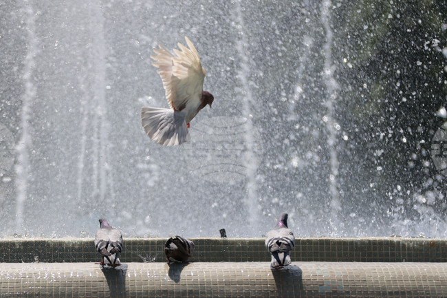 Hot Weather Warning Issued for Five Regions on Monday