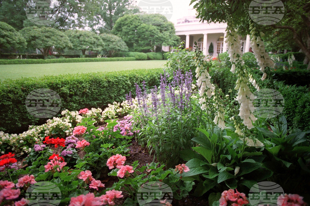 Gardening-White House Rose Garden