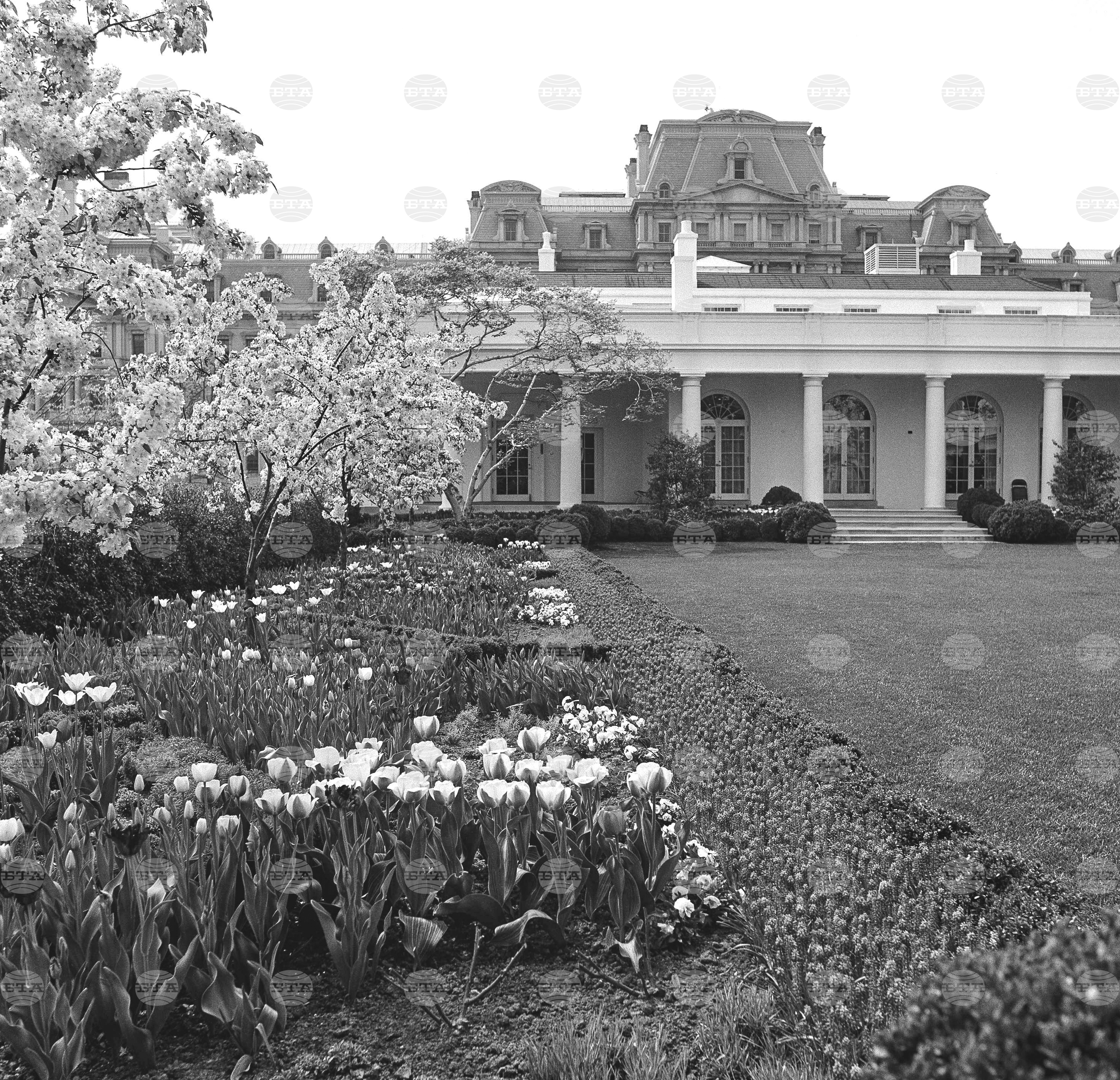 Gardening-White House Rose Garden