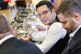 Министерски съвет - извънредно заседание - Александър Пулев