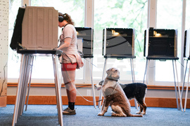 Election 2026 Colorado