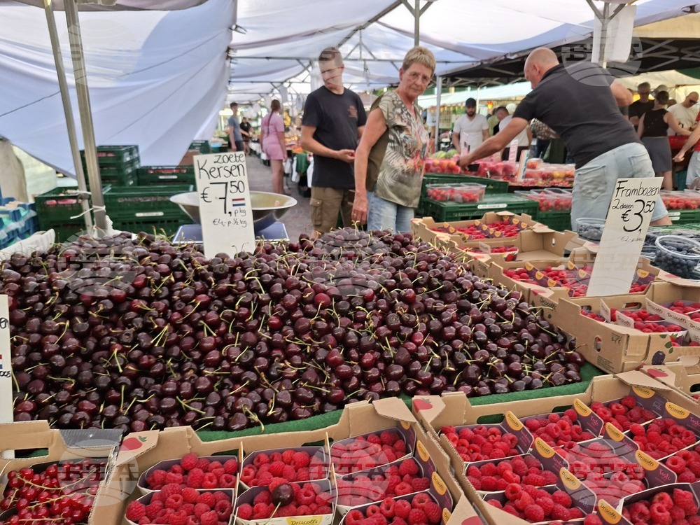 Dutch Initiative Provides Experience Exchange for Bulgarian Fruit Producers