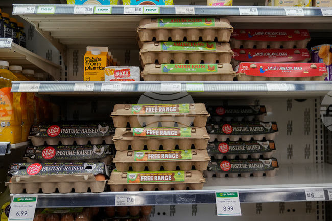Egg Prices Settlement