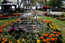 Бургас - изложение "Флора"