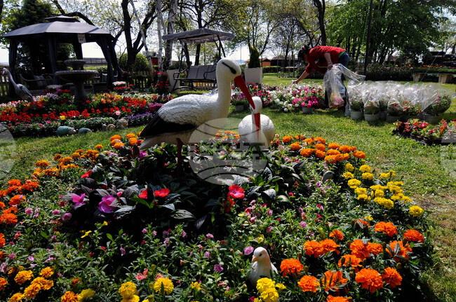 Бургас - изложение "Флора"