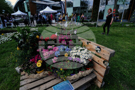 Бургас - изложение "Флора"