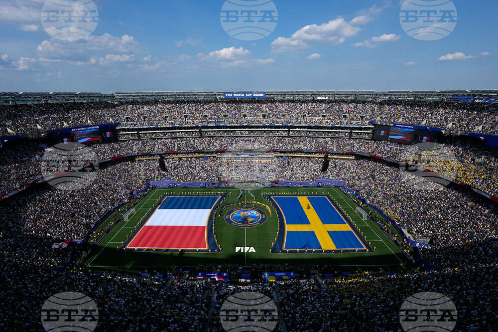 Sweden France WCup Soccer