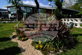 Бургас - изложение "Флора"