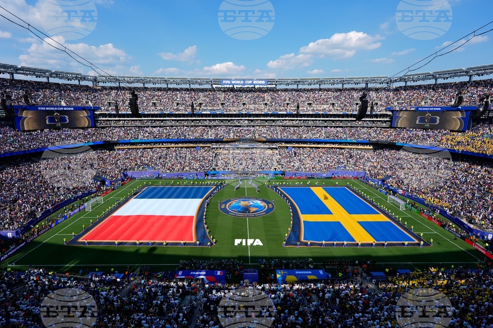 Sweden France WCup Soccer