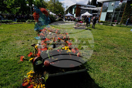 Бургас - изложение "Флора"