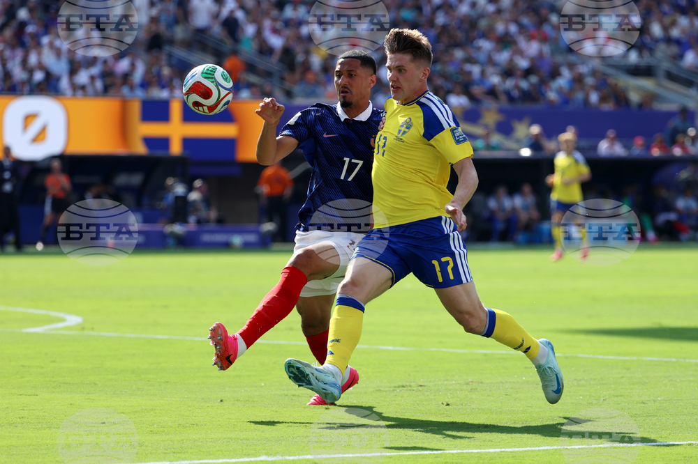 Sweden France WCup Soccer