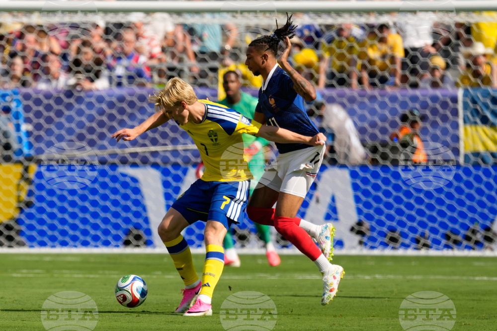 Sweden France WCup Soccer