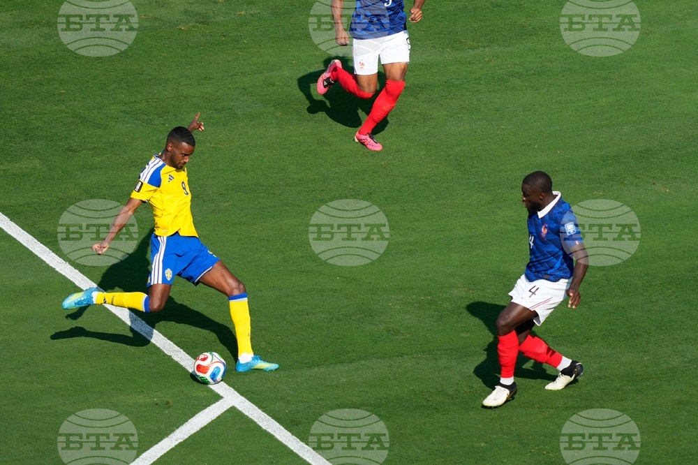 Sweden France WCup Soccer