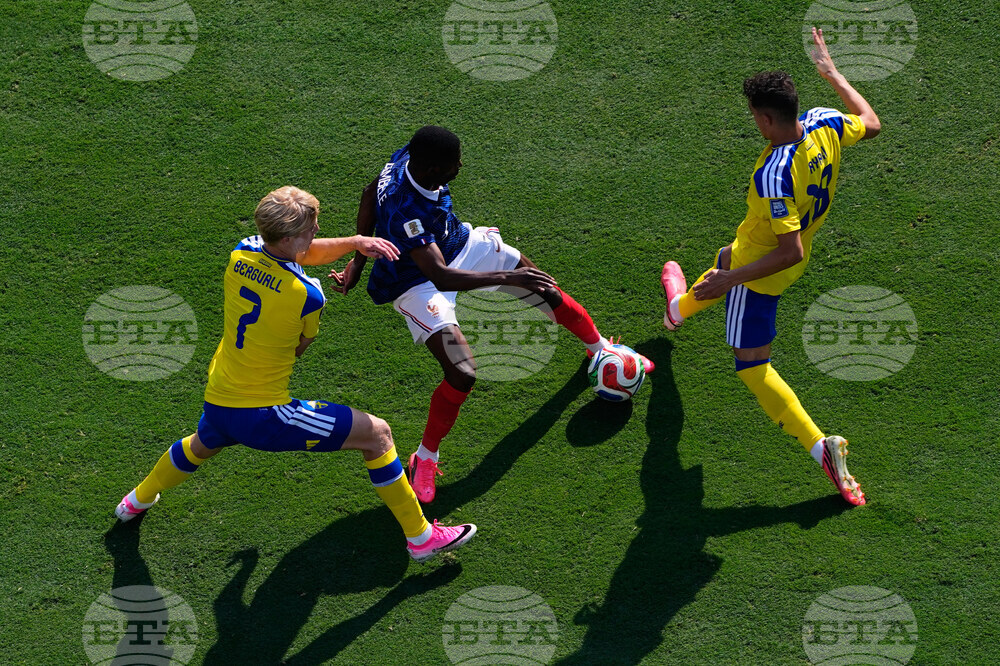 Sweden France WCup Soccer