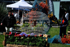 Бургас - изложение "Флора"