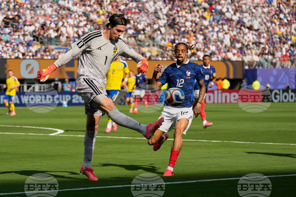 Sweden France WCup Soccer
