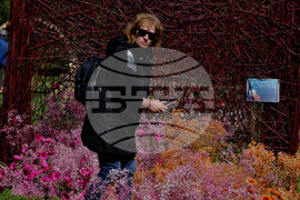 Бургас - изложение "Флора"