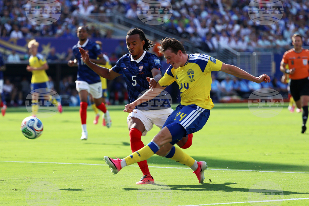 Sweden France WCup Soccer