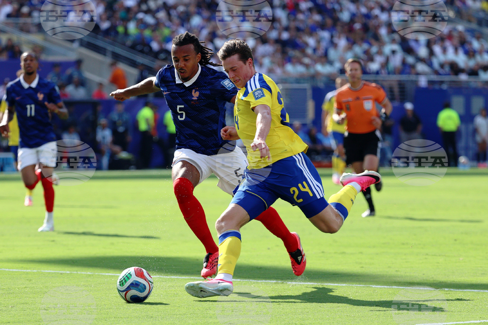 Sweden France WCup Soccer