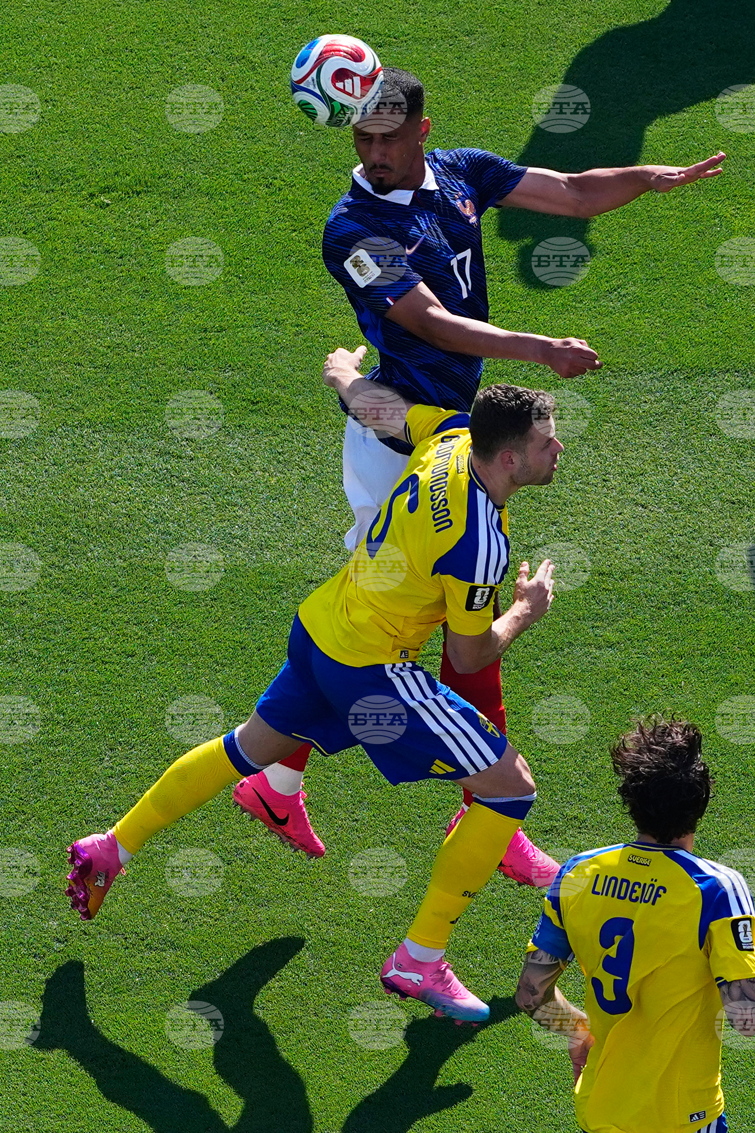 Sweden France WCup Soccer